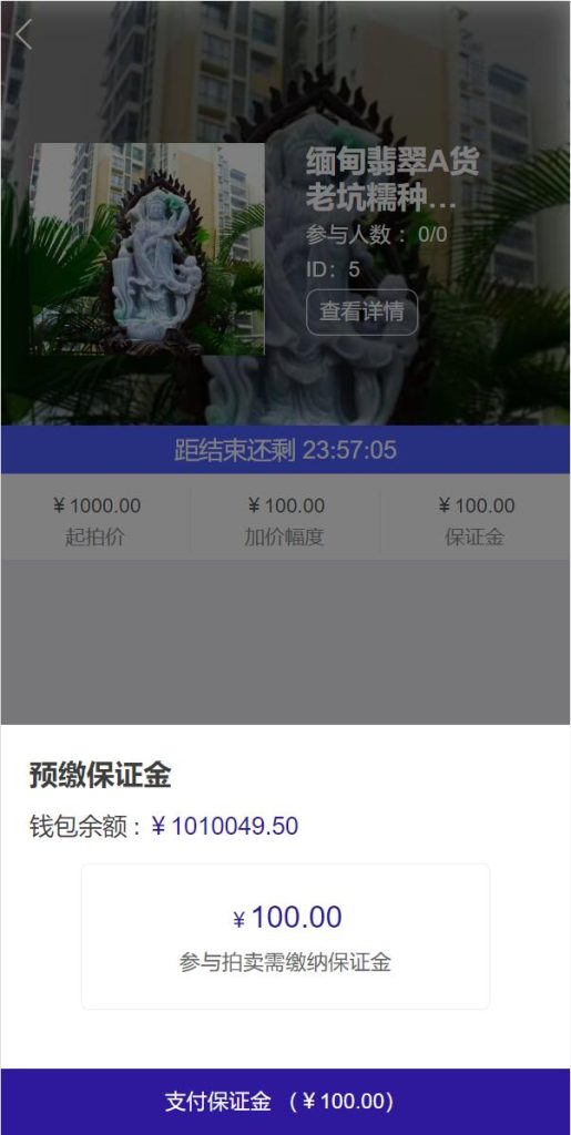 图片[1]-双语言版竞拍系统/竞拍转拍源码/竞拍商城/商场寄售系统-666源码