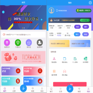 usdt抢单系统/任务抢单刷单/交易所理财/usdt支付-666源码
