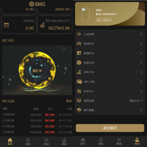 双语言USDT投资系统/虚拟币动态收益/USDT换算推广-666源码