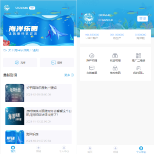 USDT理财系统/USDT投资源码/虚拟币静态收益/区块链源码-666源码