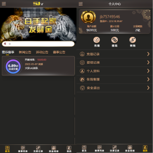 二开版TG淘金网反波胆5.02版本系统源码-666源码