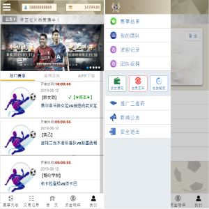 TG淘金网反波胆5.02版本系统源码-666源码