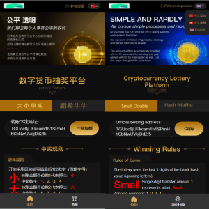 哈希竞彩/区块链哈希值竞猜系统源码/带后台-666源码