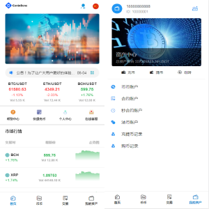 TeEx多语言交易所/USDT秒合约/杠杆/C2C法币交易/vue前端全开源-666源码