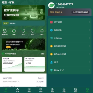 usdt矿机系统/BZZ分币系统/虚拟币矿机系统源码-666源码