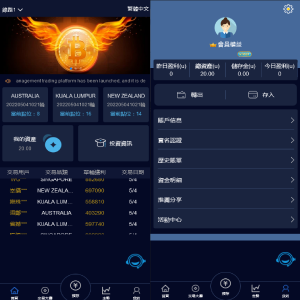全新vue版28游戏源码/伪交易所系统/游客试玩/自带客服系统-666源码
