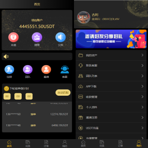 二开版USDT抢单系统/自动匹配订单/USDT跑分系统-666源码