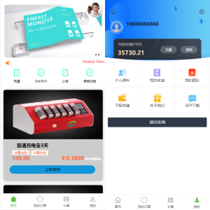 定制版六国语言/充电宝投资/海外虚拟投资理财/TRX充值-666源码