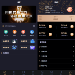 IPFS算力矿机/usdt排单众筹系统/usdt理财分红系统-666源码