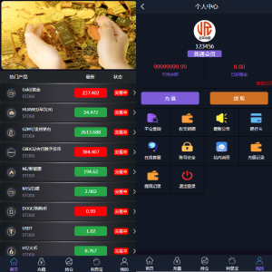 全新二开框架微盘系统/黑色理财微交易外汇系统-666源码