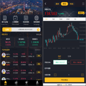经典版多语言3合一双位盘/微盘微交易系统/外汇期货/脚本齐全-666源码