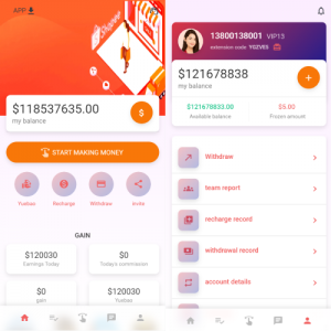 二开版国际多语言商城返佣系统/抢单刷单系统源码/叠加组/自动匹配订单系统-666源码