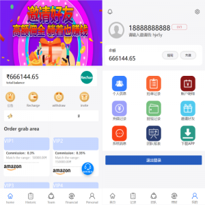 多语言抢单系统/订单自动匹配系统/海外抢单刷单源码-666源码