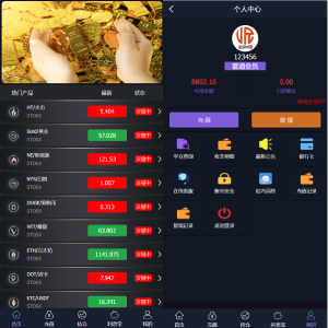 新框架/全新修复版微交易系统/虚拟币理财系统/微盘交易系统/K线正常-666源码