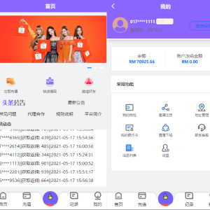 海外版V8抢单系统/刷单系统/订单匹配系统/增加连单设置-666源码