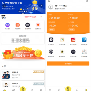 UI二开版抢单刷单系统/订单自动匹配系统/订单连单-666源码