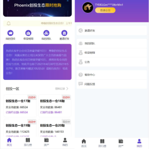 usdt众筹系统/区块链投资分红系统/usdt投资理财系统/DAPP理财-666源码