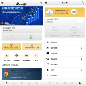 全新UI多语言海外抢单源码/自动抢单刷单系统/订单自动匹配系统-666源码