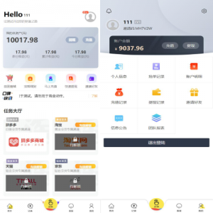 在线抢单源码/京东淘宝自动刷单系统/订单自动匹配系统-666源码