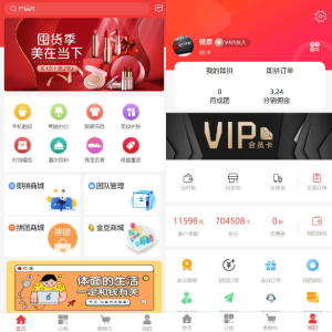 即拼商城/拼团商城/拼团返利商城/二合一商城/前端vue源码-666源码