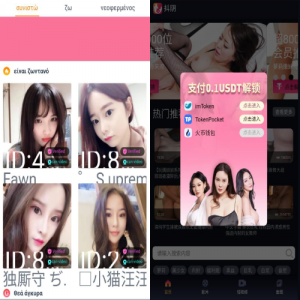 全新4链盗U系统/usdt授权秒U源码/usdt钱包盗U源码-666源码