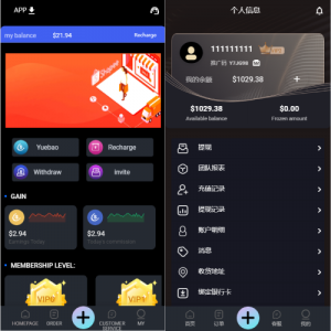 全新UI多语言抢单系统/抢单刷单源码/订单自动匹配系统源码-666源码