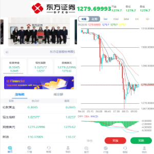 K线正常版外汇系统/微交易源码/双语言微盘系统-666源码