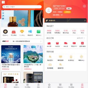 二开新玩法抢拍理财系统/积分商城系统/抢拍竞拍源码-666源码