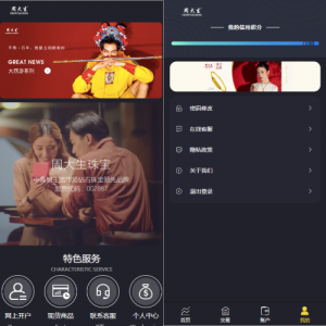 二开版微交易系统/贵金属交易平台/微盘交易系统-666源码