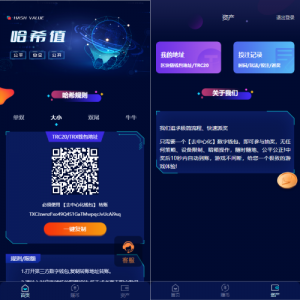 前端vue版哈希竞彩/区块链哈希值游戏/usdt/trx双玩法-666源码