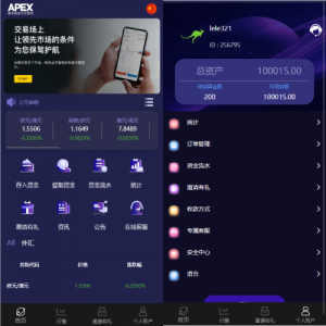 新UI多语言微盘外汇系统/时间盘微盘源码-666源码
