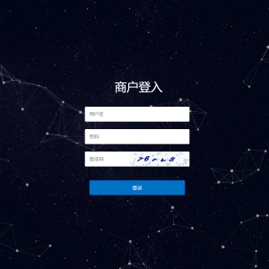 人工代付/代付支付系统/代付源码/支付系统/手工代付-666源码