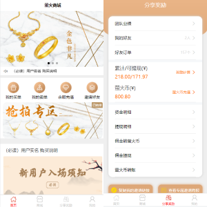 【竞拍商城】抢拍/转拍/抢购/古董竞拍/翰墨千秋/ai购/拆分/溢价商城源码-666源码