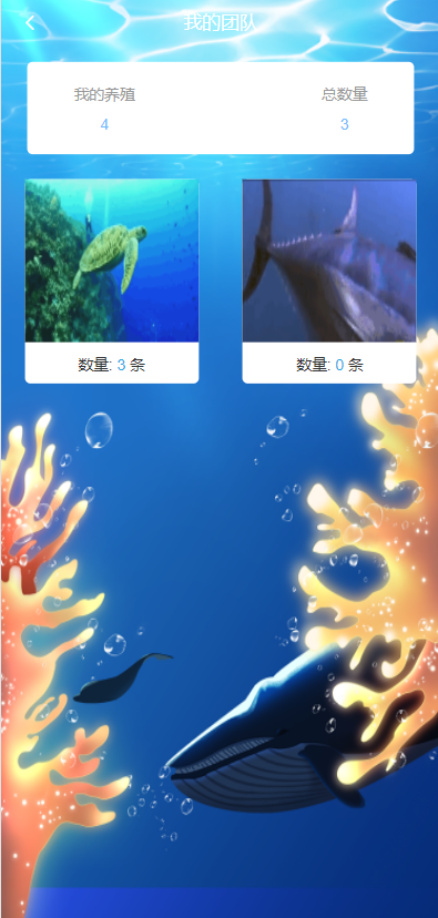 图片[4]-USDT理财系统/USDT投资源码/虚拟币静态收益/区块链源码-666源码